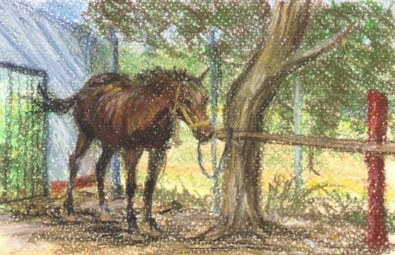 chocolate (horse)