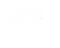 new horse logo transparent white