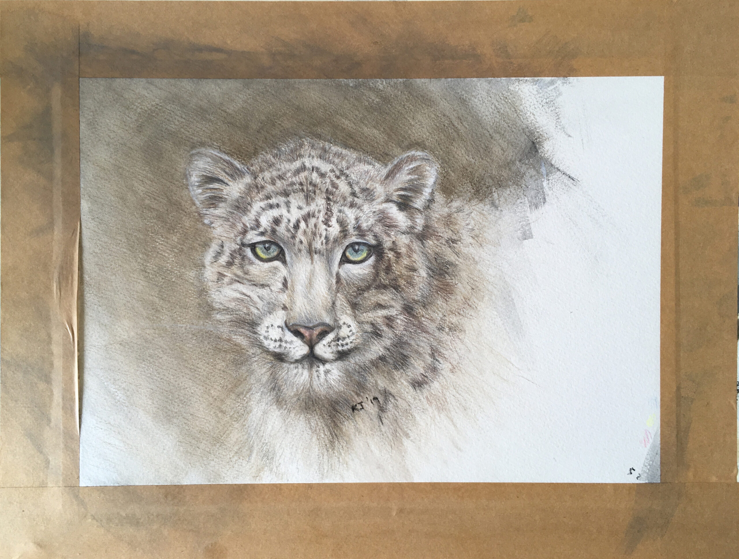 snow leopard