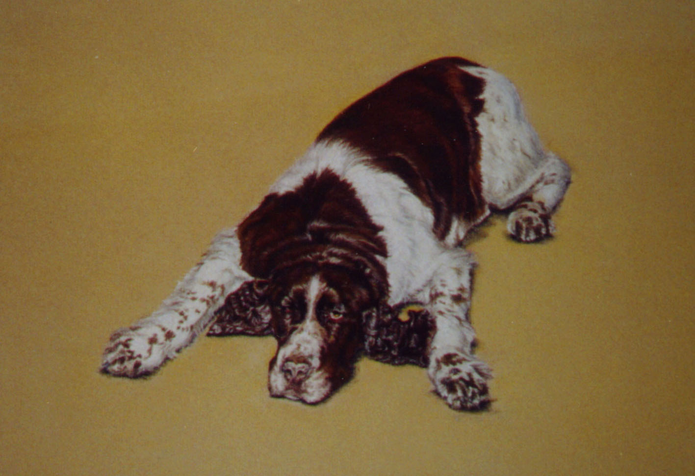 tess
