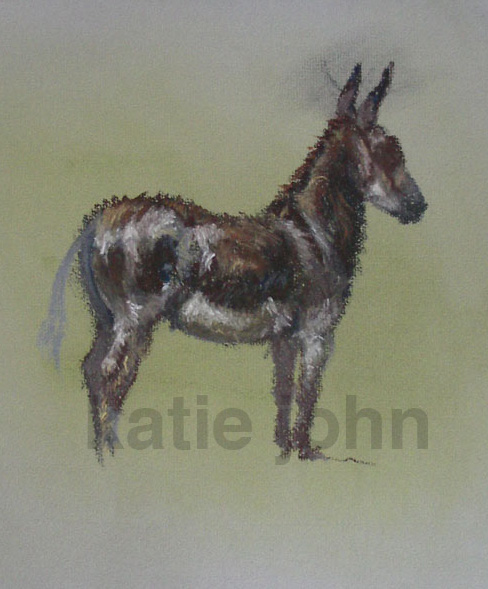 donkey sketch 03 for gallery page