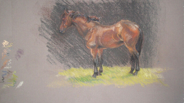 Bay horse, chalk pastel, 2003 bay horse sketch 03