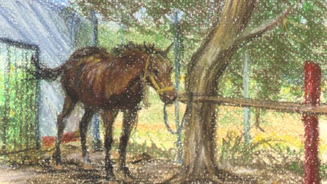 Chocolate, chalk pastel, 2002 chocolate (horse)