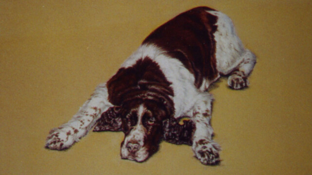 Tess, chalk pastel, 1995 tess