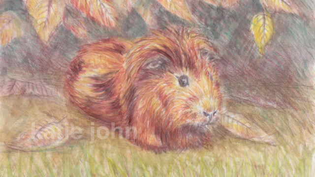 Autumn, watercolour, 2022 autumn web