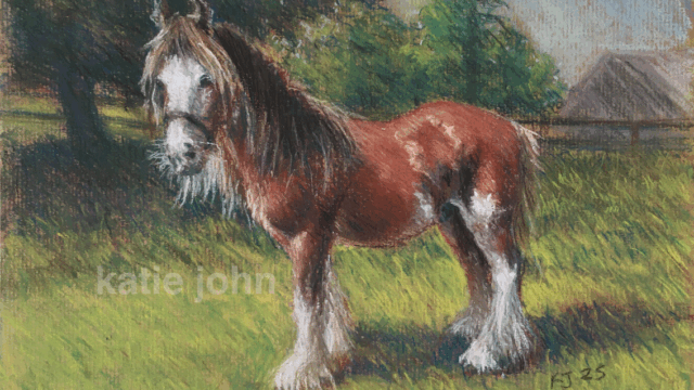 Robin, Blue Cross, chalk pastel, 2025 blue cross robin katie john