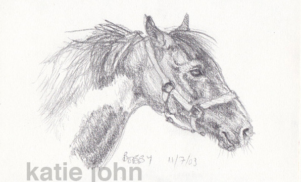 Bobby, pencil, 2003 bobby 2003