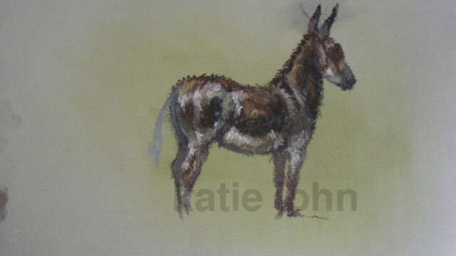 Donkey, chalk pastel, 2003 donkey sketch 03