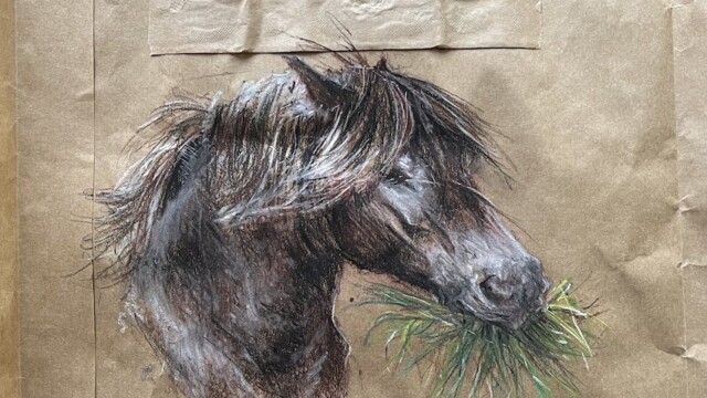 Dino having lunch, chalk pastel on carrier bag, 2026 exmoor pony having lunch