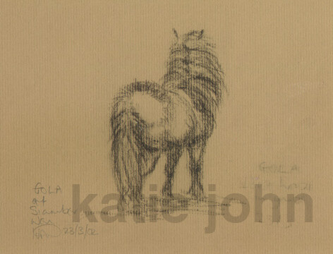 Gola, pencil, 2002 gola web