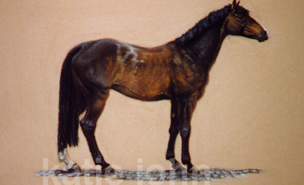 Molly, chalk pastel, 2002 molly web