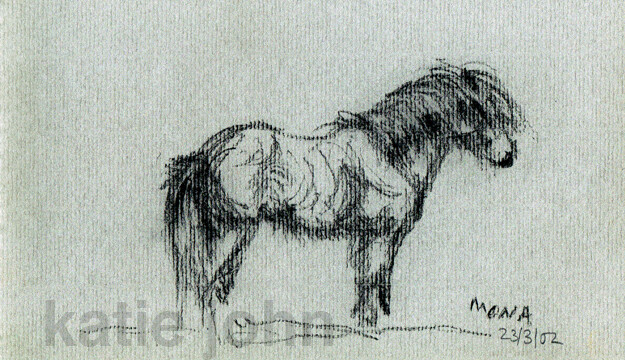 Mona, charcoal, 2002 mona
