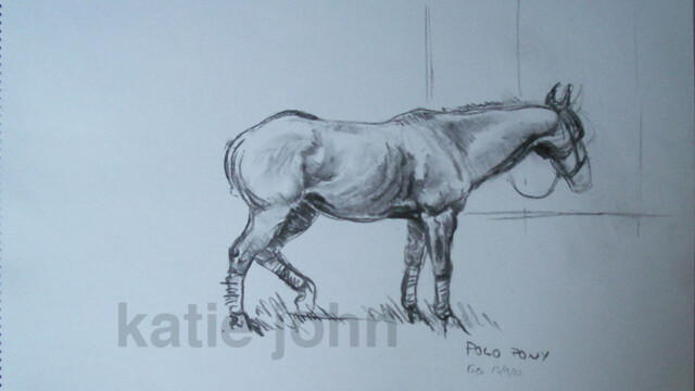 Polo pony, charcoal, 2002 polo pony sketch