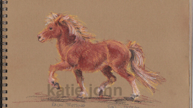 Raun trotting, chalk pastel, 2002 raun trotting sketch