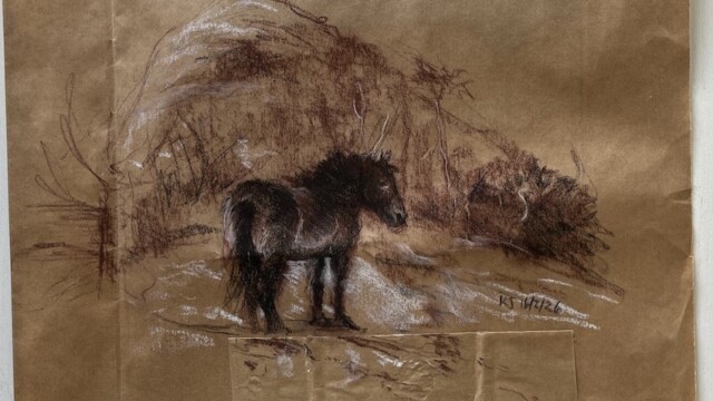 Sherlock in winter, chalk pastel on carrier bag, 2026 sherlock in winter copy