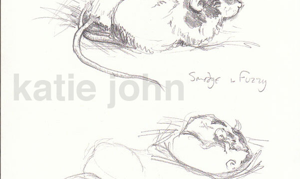 Smodge and Fuzzy, pencil, 1997 smodge + fuzzy