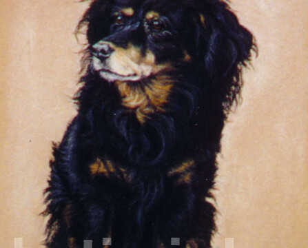 Sorrie, chalk pastel, 1990s sorrie web